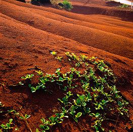 《城市：天际线2》开发者：目标是30FPS，而非60